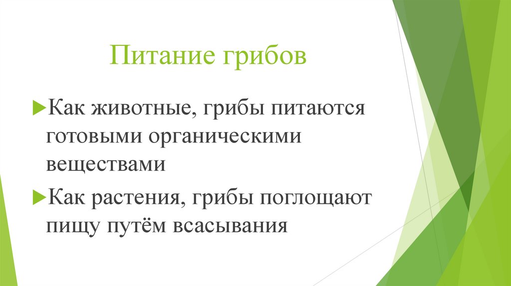 Питание грибов