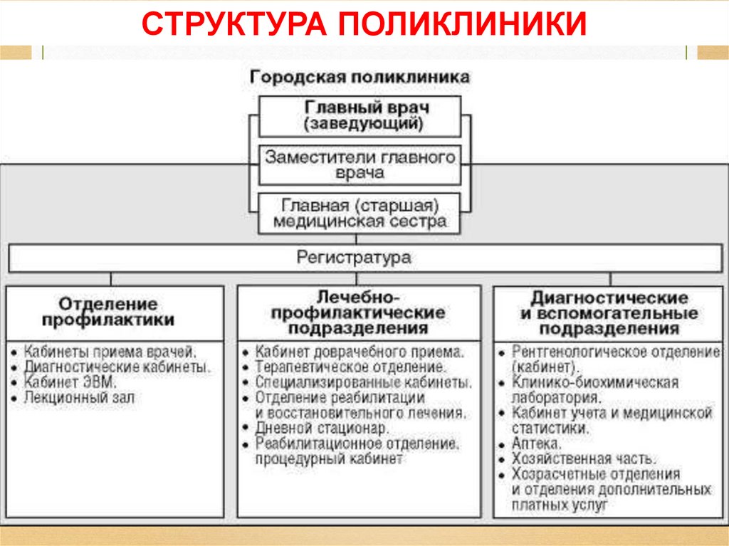 СТРУКТУРА ПОЛИКЛИНИКИ