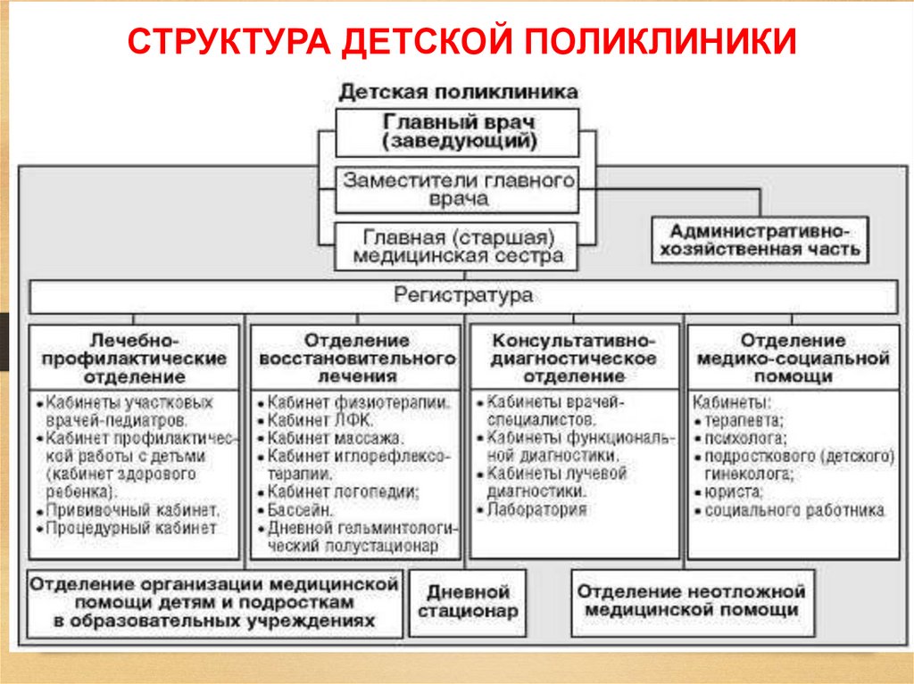 СТРУКТУРА ДЕТСКОЙ ПОЛИКЛИНИКИ
