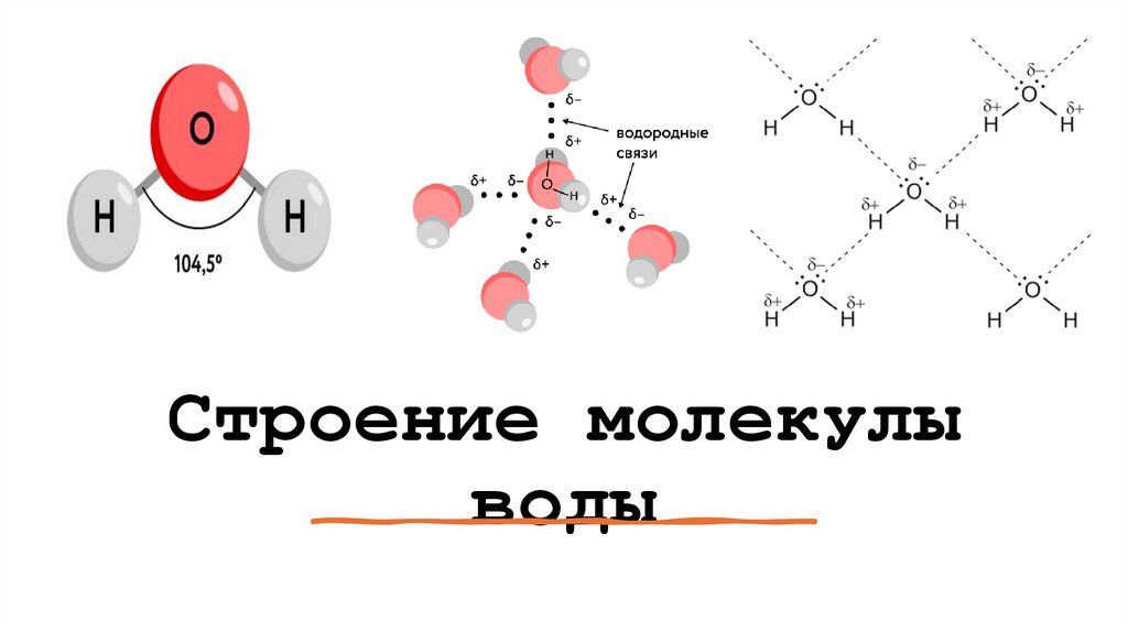 Строение молекулы воды