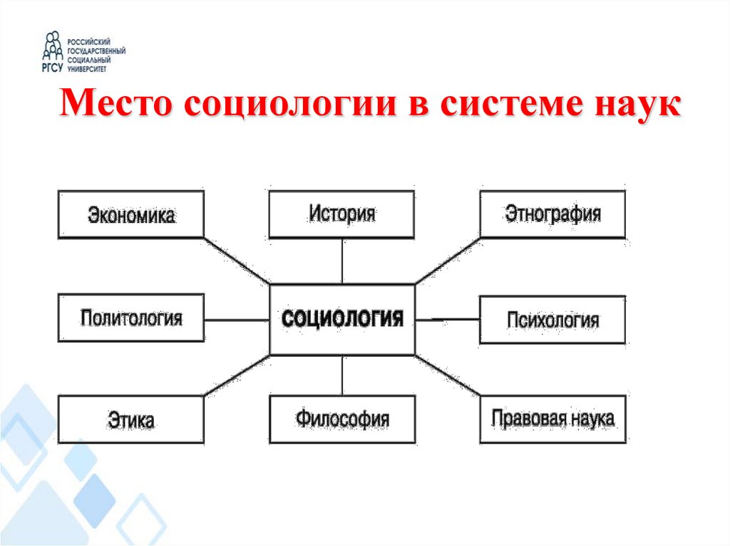 Место социологии в системе наук