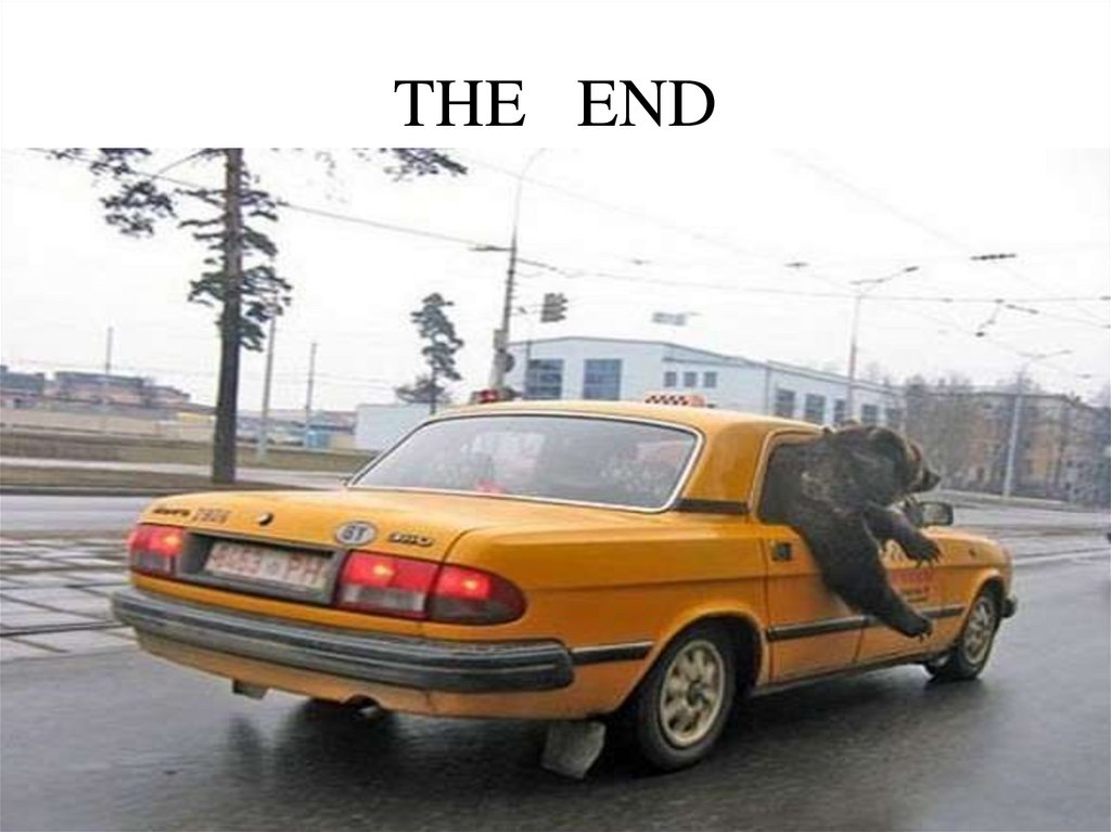 THE END