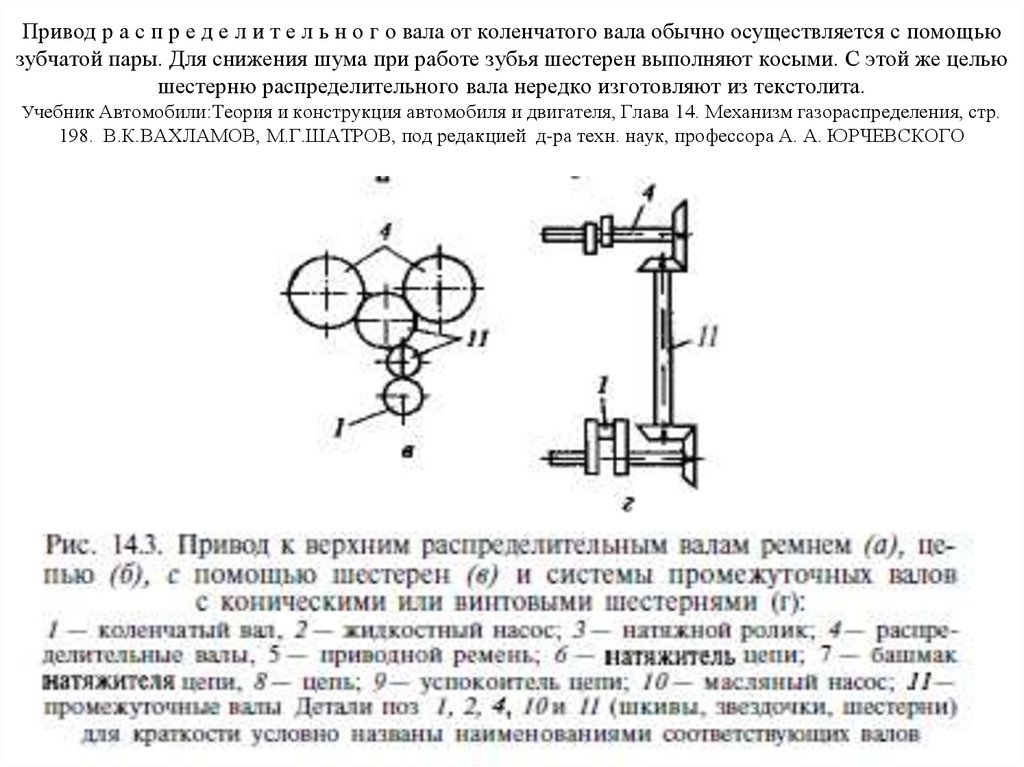 Привод р а с п р е д е л и т е л ь н о г о вала от коленчатого вала обычно осуществляется с помощью зубчатой пары. Для снижения