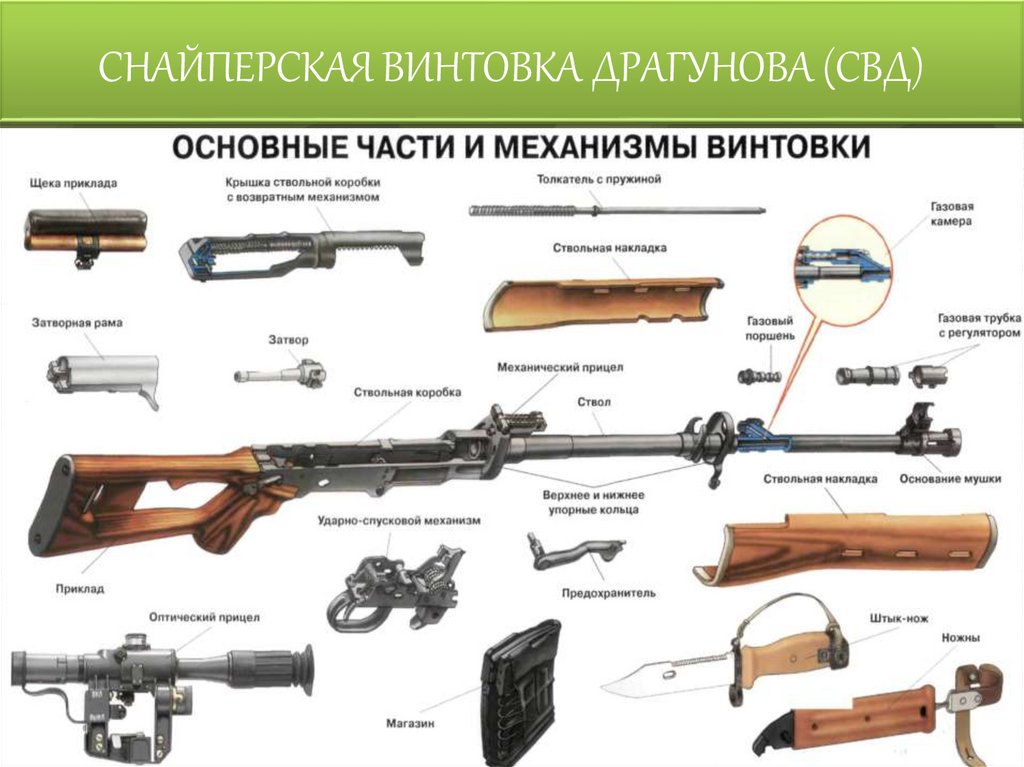СНАЙПЕРСКАЯ ВИНТОВКА ДРАГУНОВА (СВД)