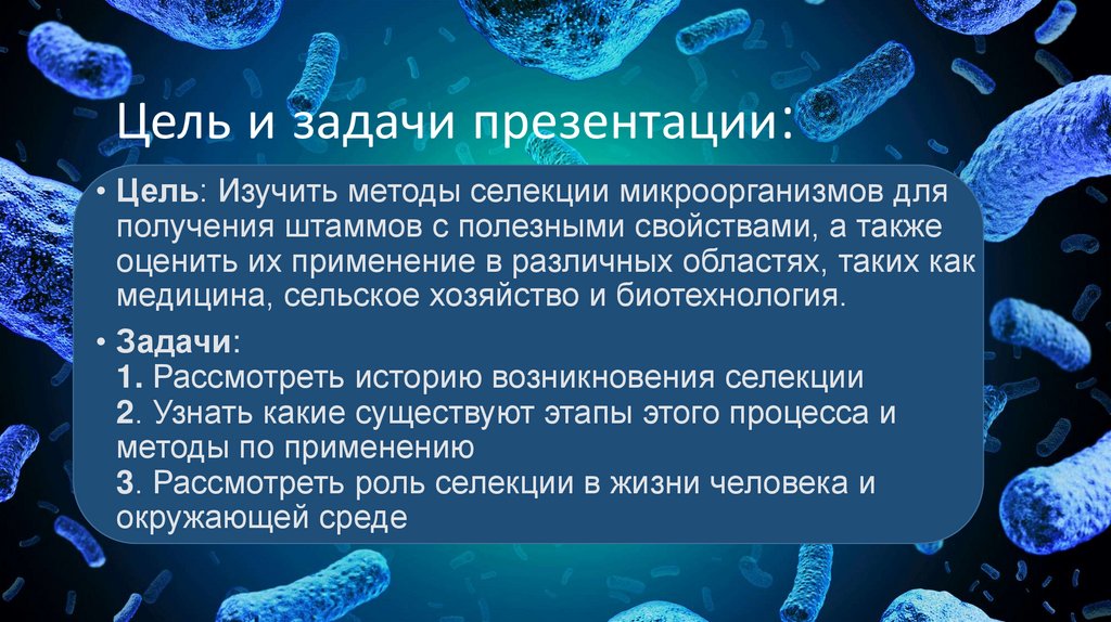 Цель и задачи презентации: