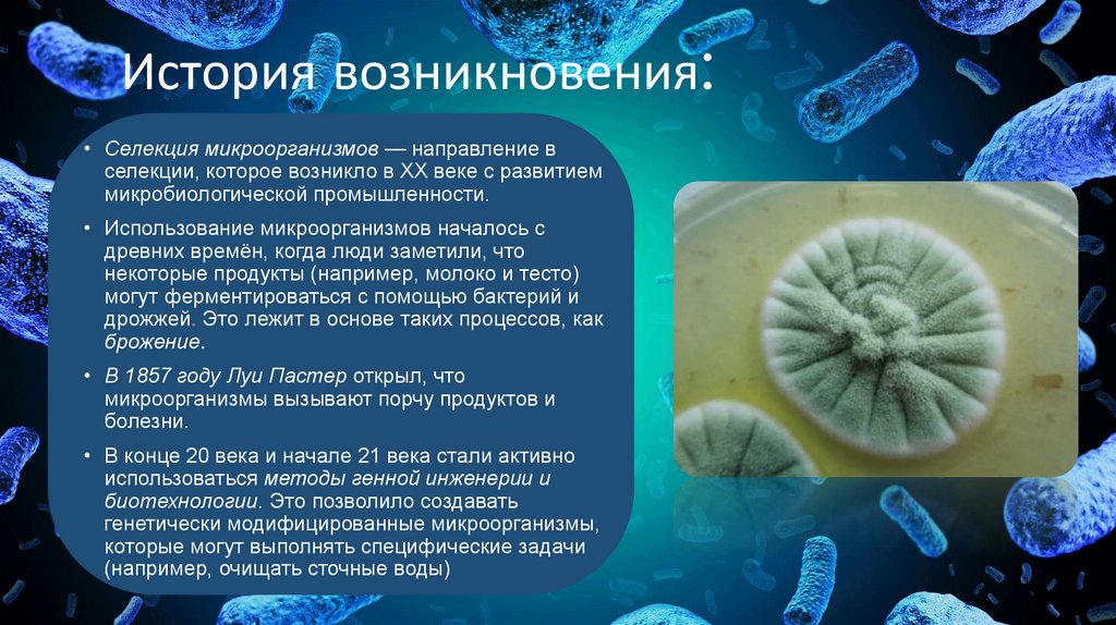 История возникновения: