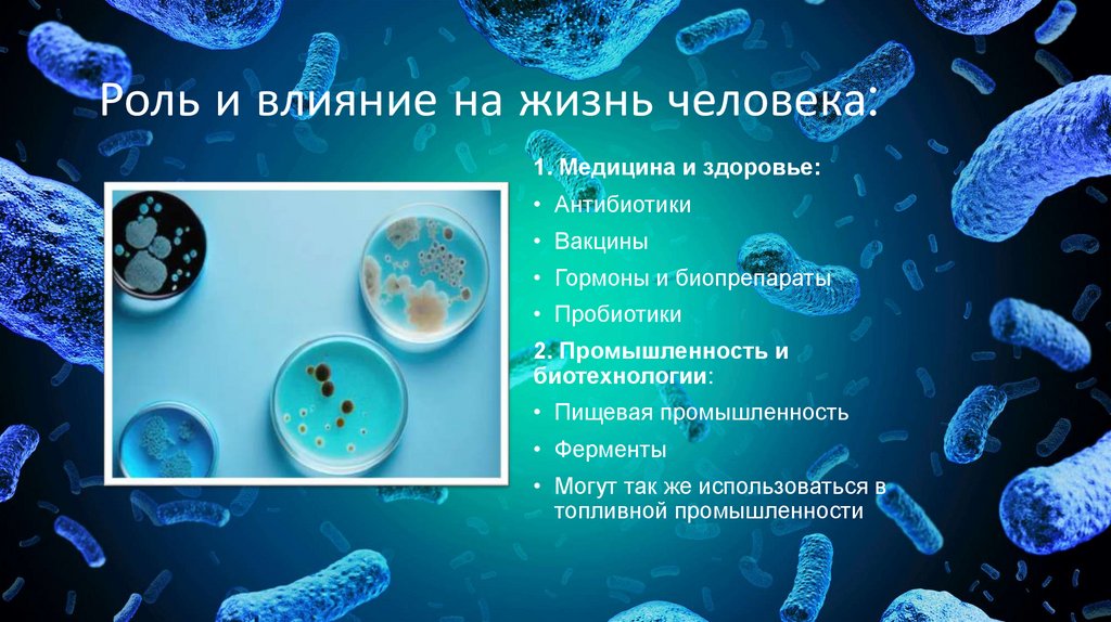 Роль и влияние на жизнь человека: