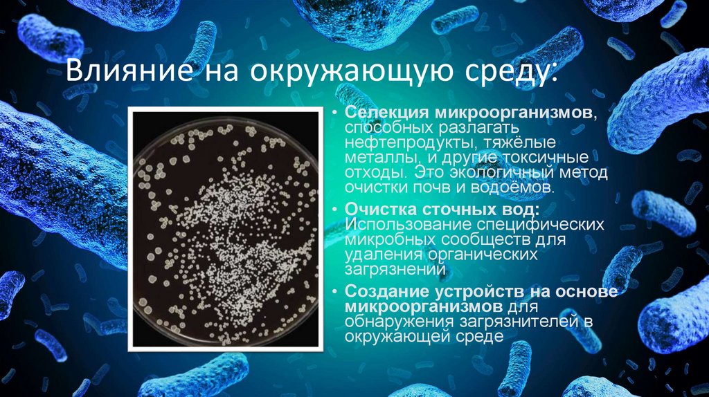 Влияние на окружающую среду: