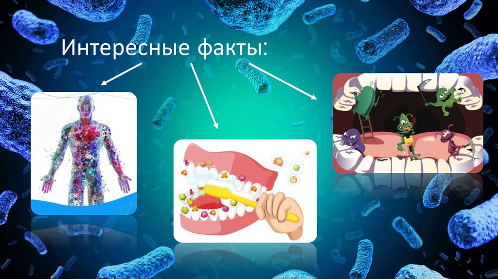 Интересные факты: