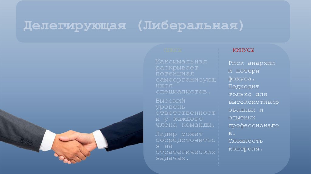 Делегирующая (Либеральная)