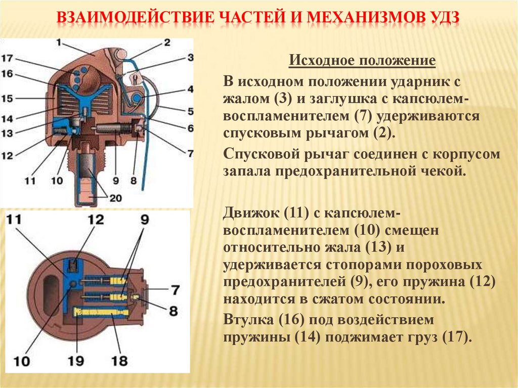 Взаимодействие частей и механизмов УДЗ