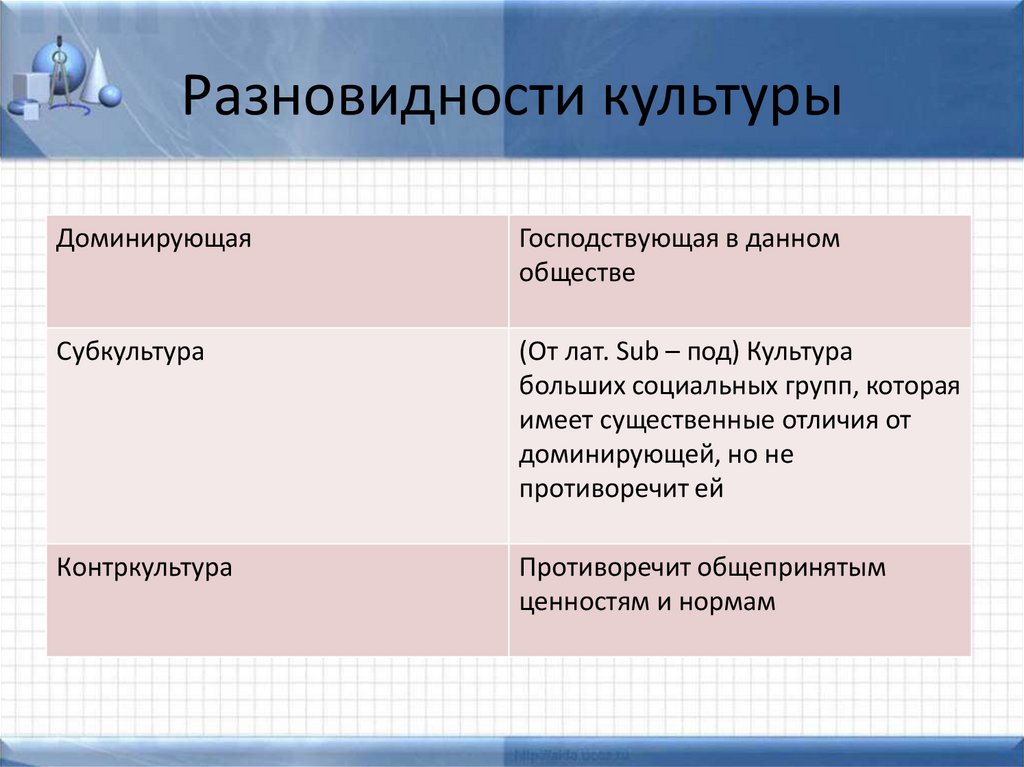 Разновидности культуры