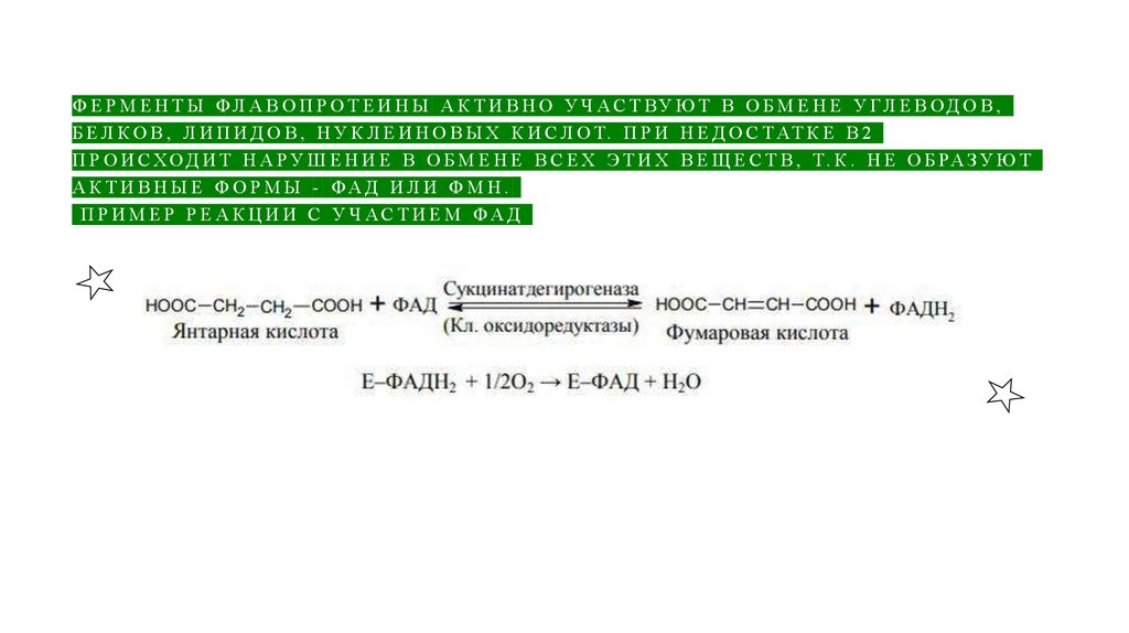 Ферменты флавопротеины активно участвуют в обмене углеводов, белков, липидов, нуклеиновых кислот. при недостатке В2 происходит
