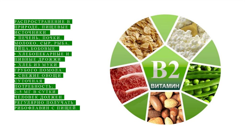 Распространение в природе, пищевые источники • Печень, почки, молоко, сыр, рыба, яйца,бобовые • Хлебопекарные и пивные дрожжи •