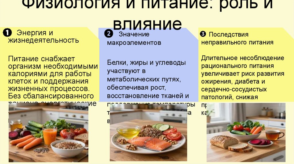Физиология и питание: роль и влияние