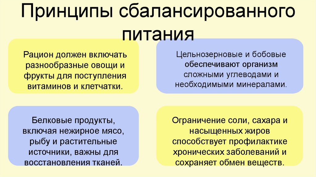 Принципы сбалансированного питания