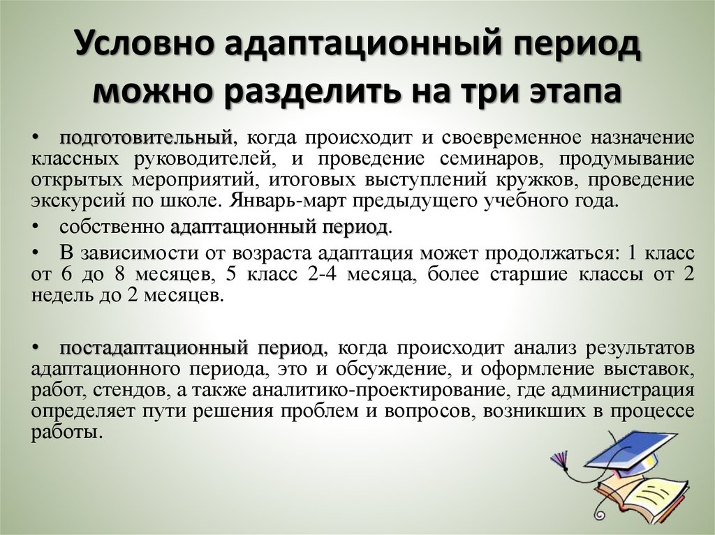 Условно адаптационный период можно разделить на три этапа