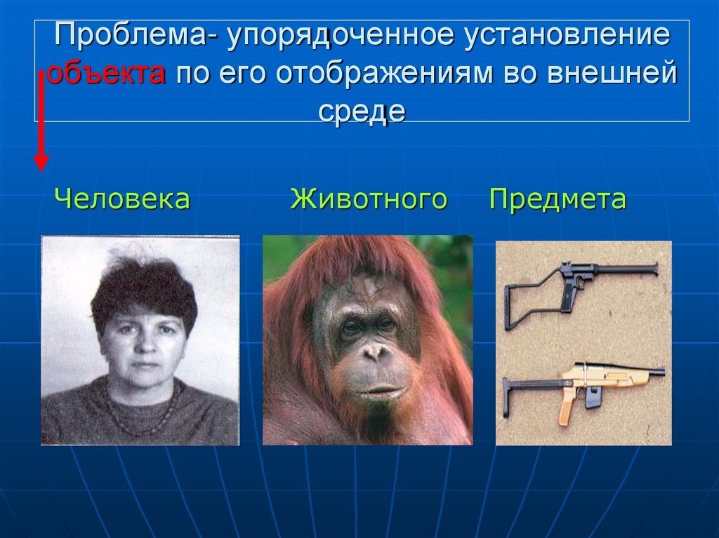 Проблема- упорядоченное установление объекта по его отображениям во внешней среде