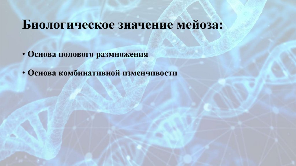 Биологическое значение мейоза: