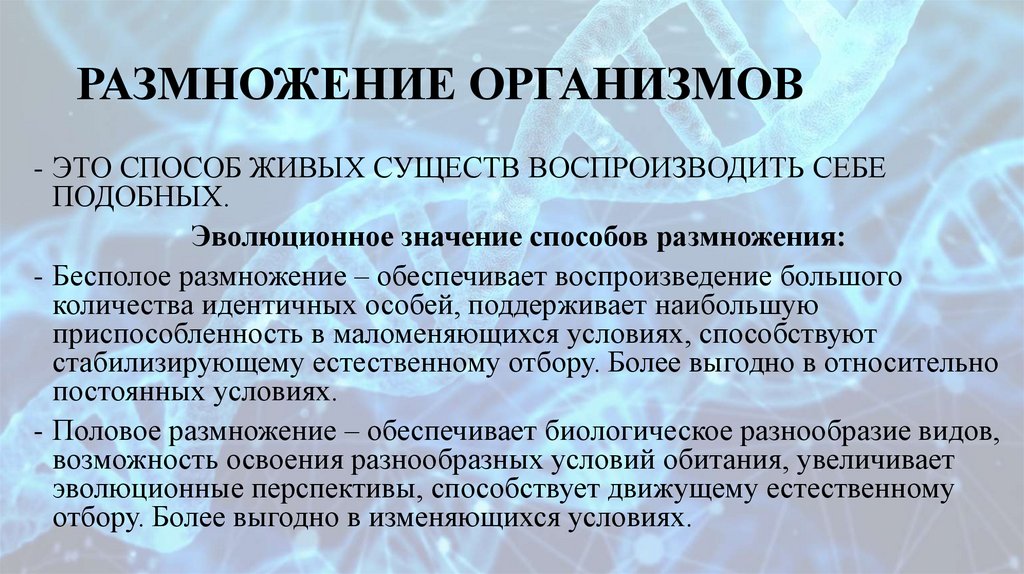 РАЗМНОЖЕНИЕ ОРГАНИЗМОВ