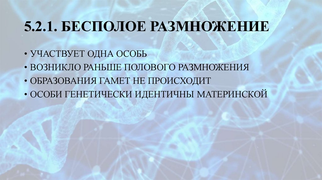 5.2.1. БЕСПОЛОЕ РАЗМНОЖЕНИЕ