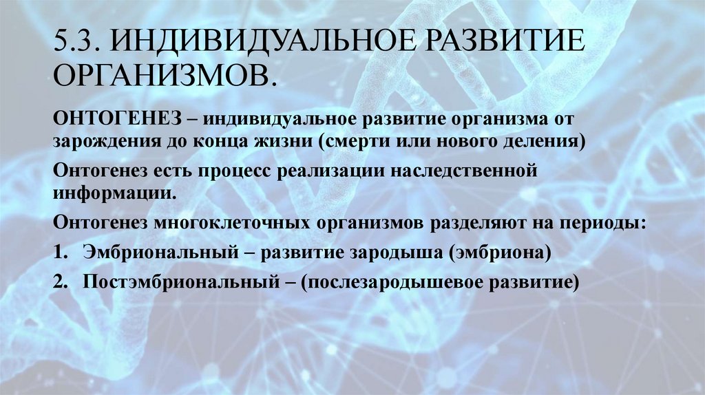 5.3. ИНДИВИДУАЛЬНОЕ РАЗВИТИЕ ОРГАНИЗМОВ.
