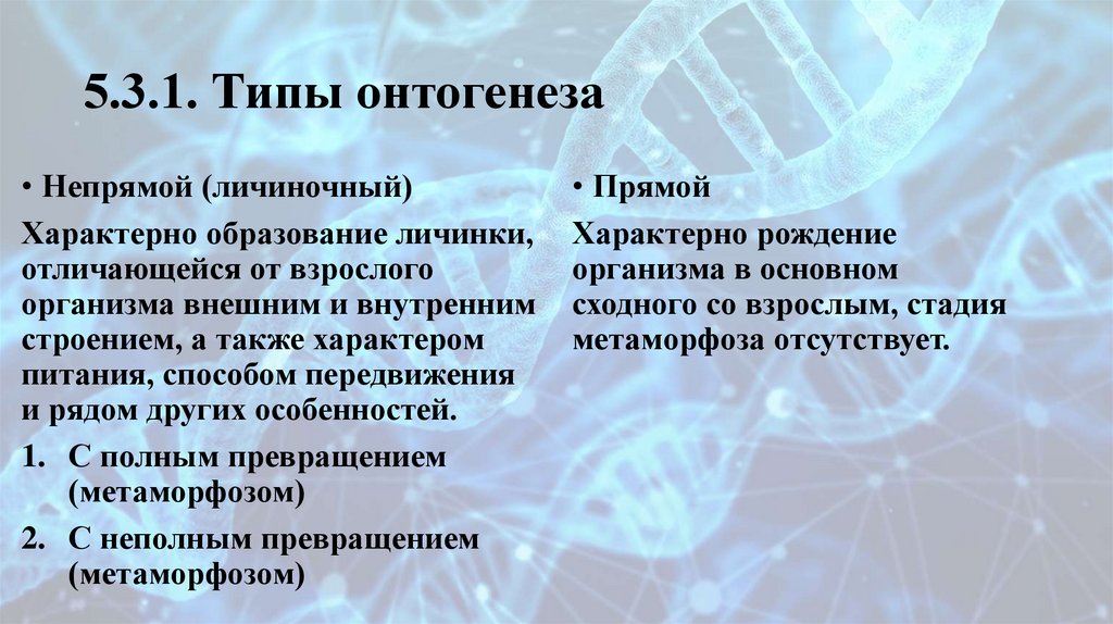 5.3.1. Типы онтогенеза