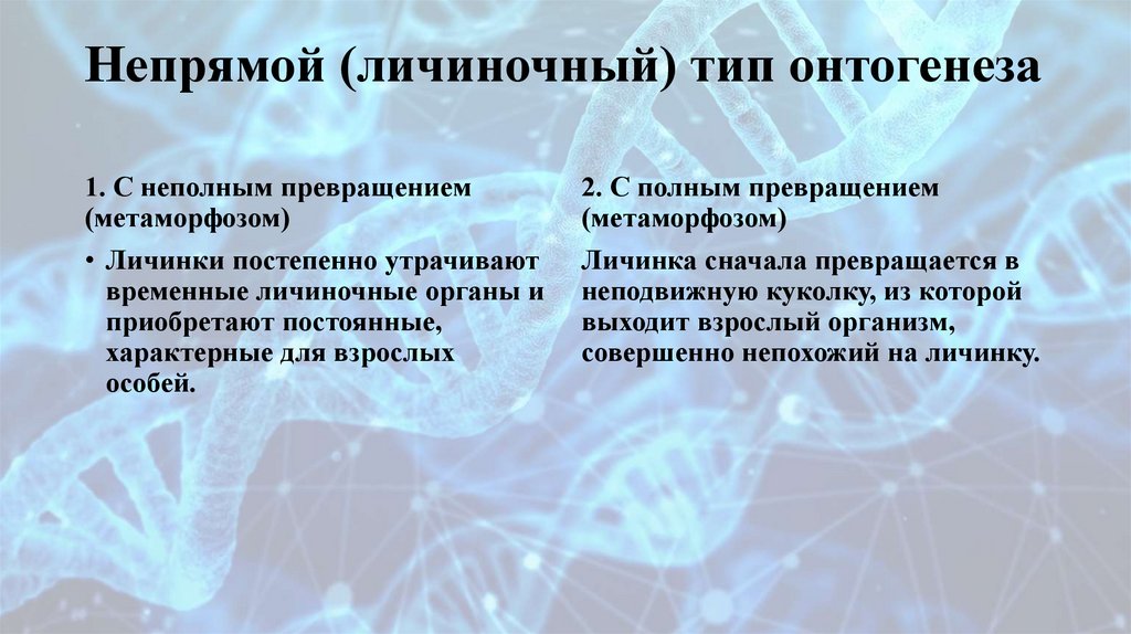 Непрямой (личиночный) тип онтогенеза