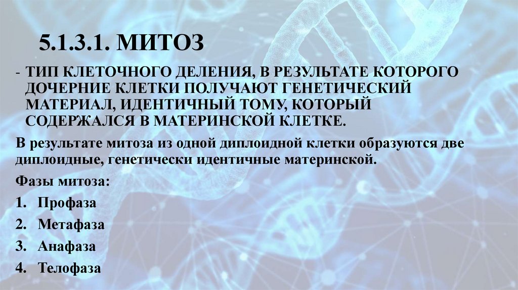 5.1.3.1. МИТОЗ