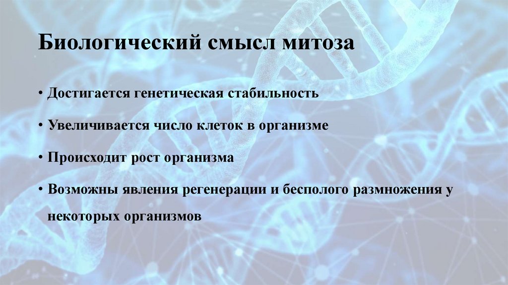 Биологический смысл митоза
