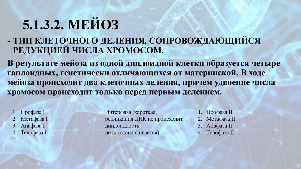 5.1.3.2. МЕЙОЗ