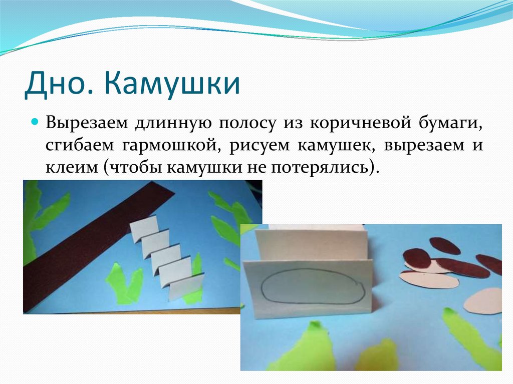 Дно. Камушки