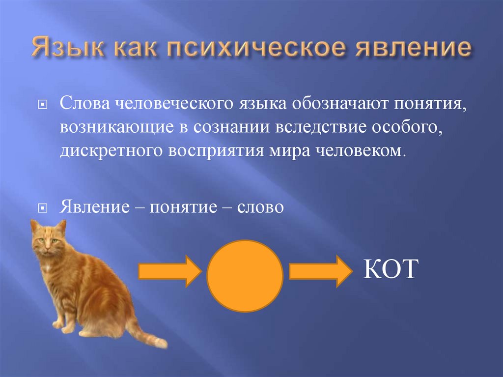 Язык как психическое явление