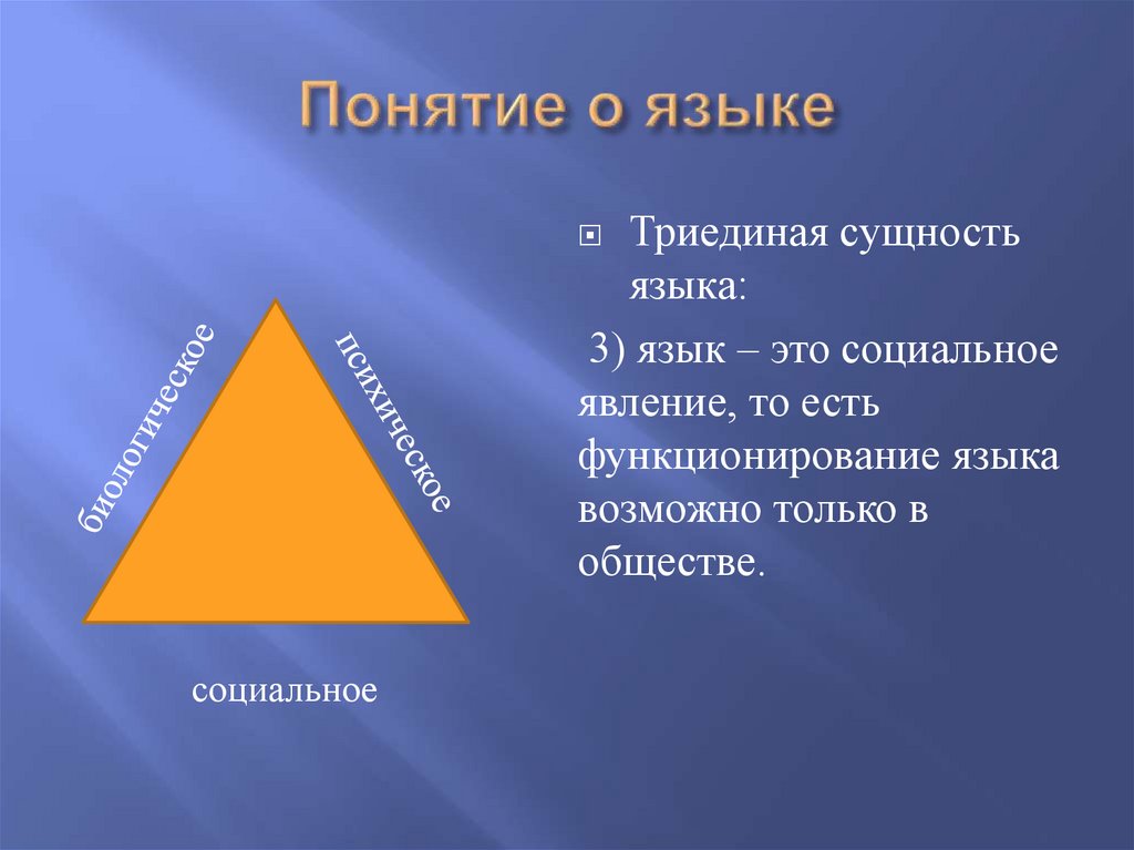 Понятие о языке