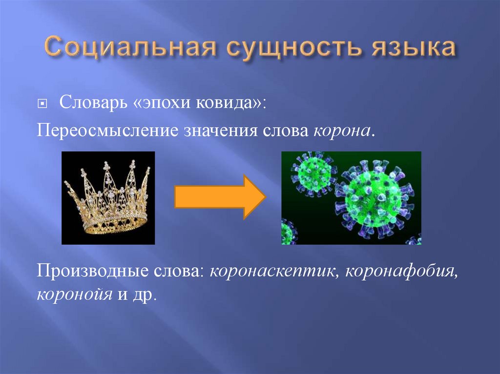 Социальная сущность языка
