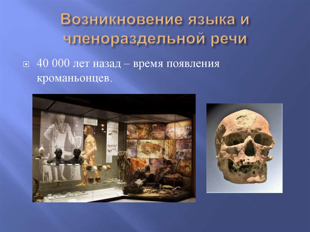 Возникновение языка и членораздельной речи