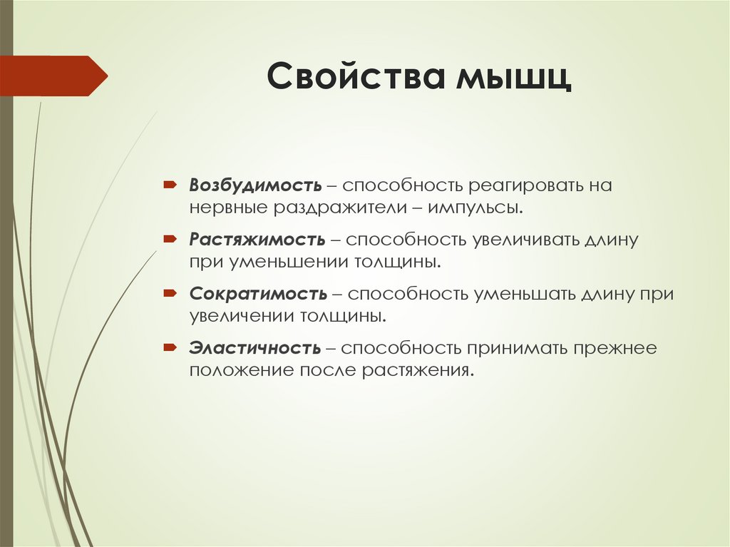 Свойства мышц