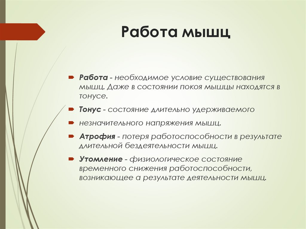 Работа мышц