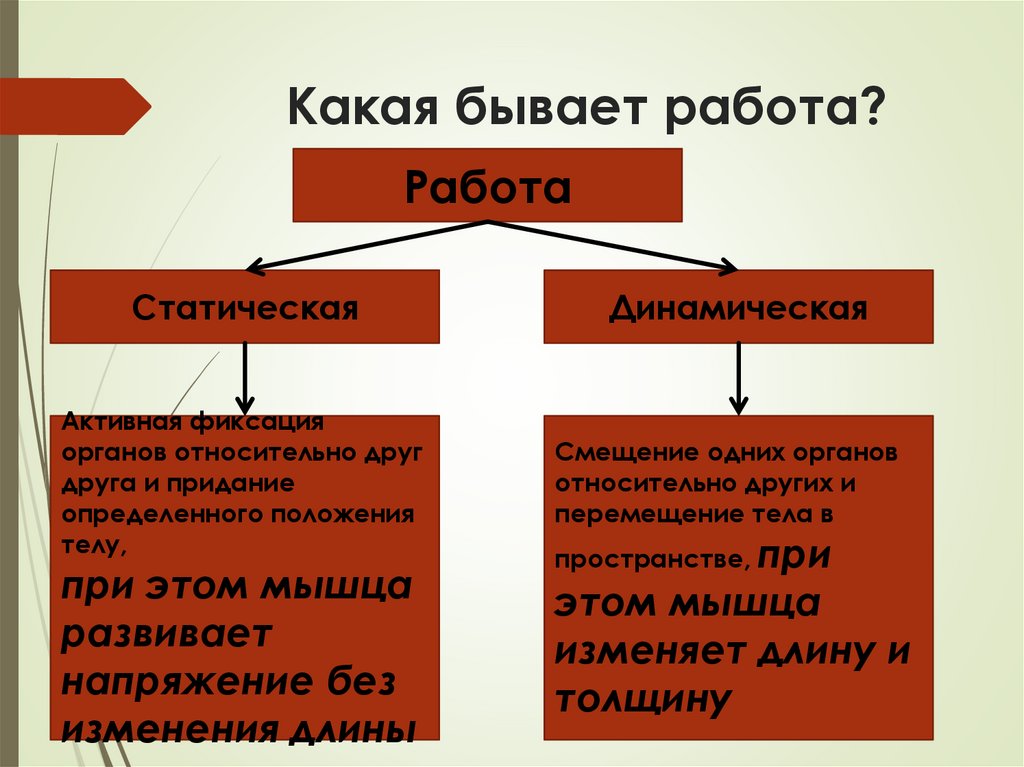 Какая бывает работа?