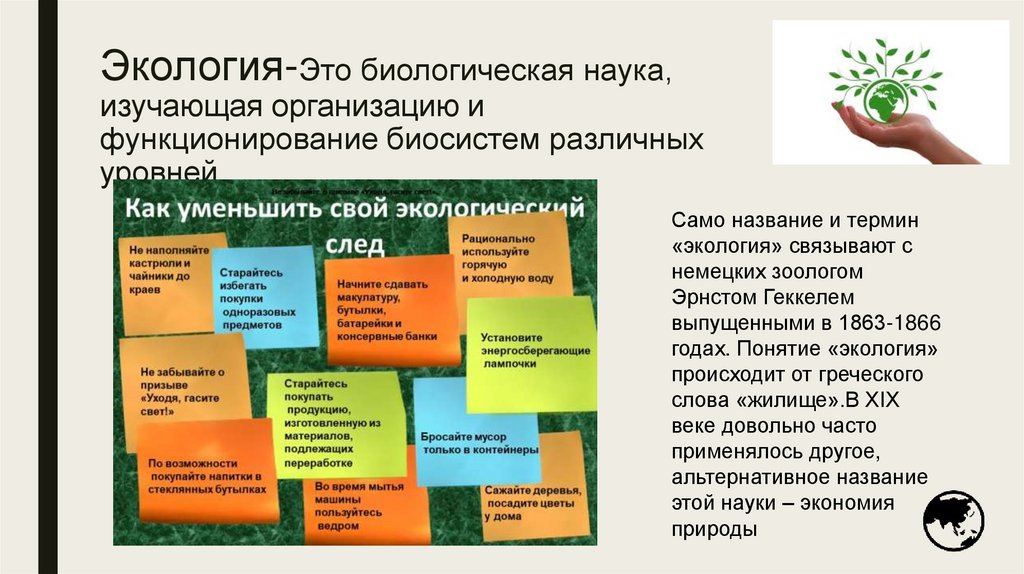 Экология-Это биологическая наука, изучающая организацию и функционирование биосистем различных уровней