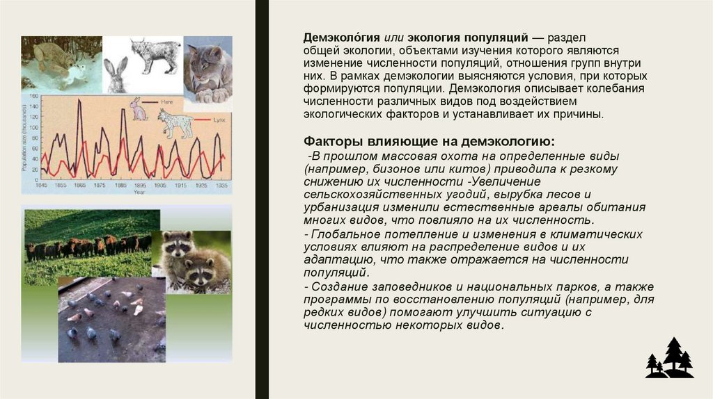 Демэколо́гия или экология популяций — раздел общей экологии, объектами изучения которого являются изменение