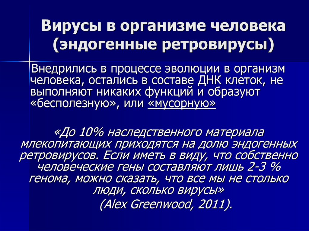 Вирусы в организме человека (эндогенные ретровирусы)