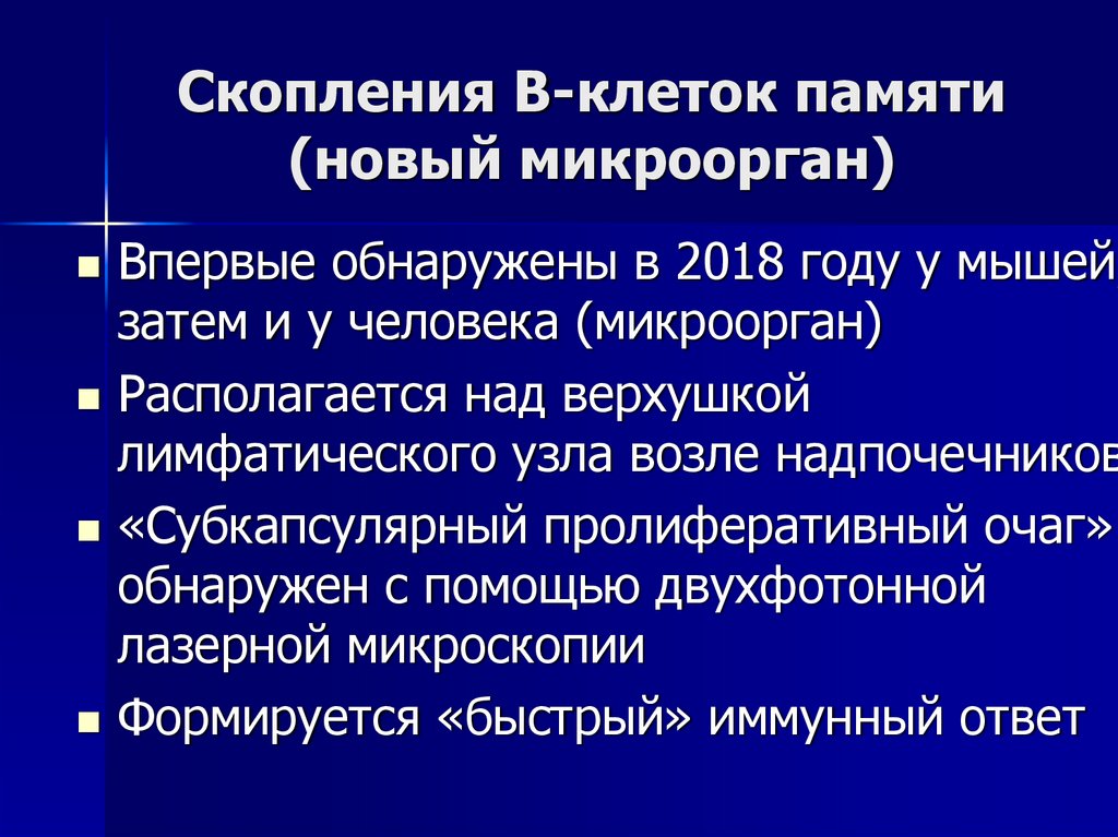 Скопления В-клеток памяти (новый микроорган)