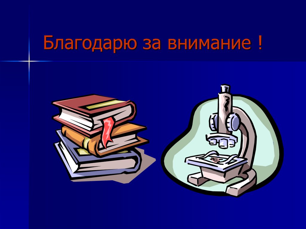 Благодарю за внимание !