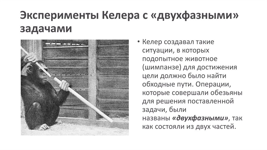 Эксперименты Келера с «двухфазными» задачами