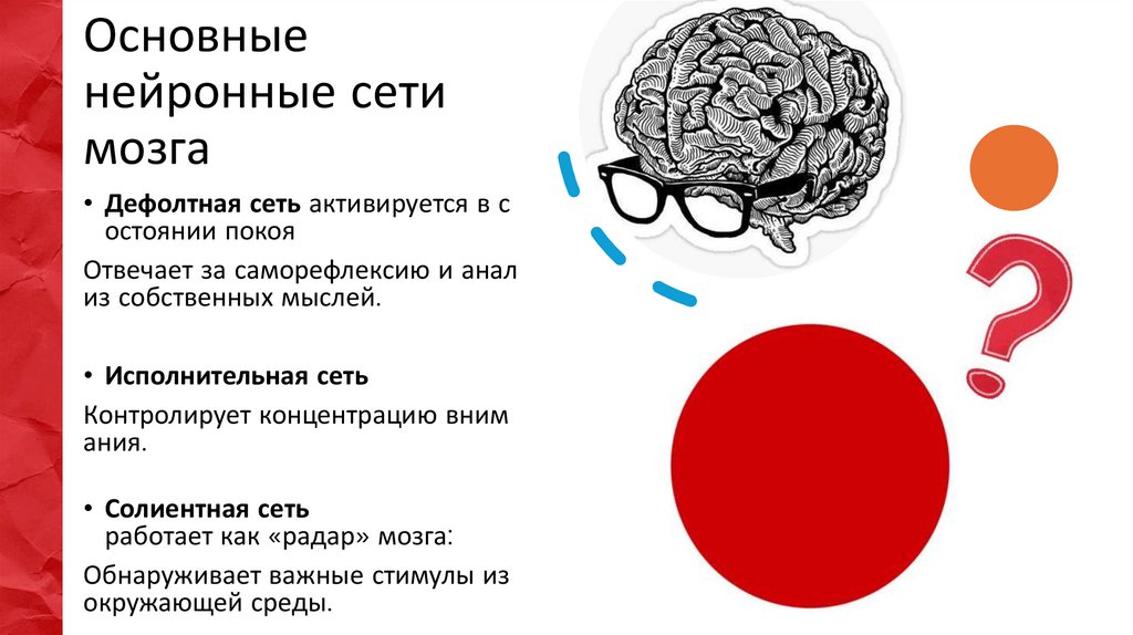 Основные нейронные сети мозга