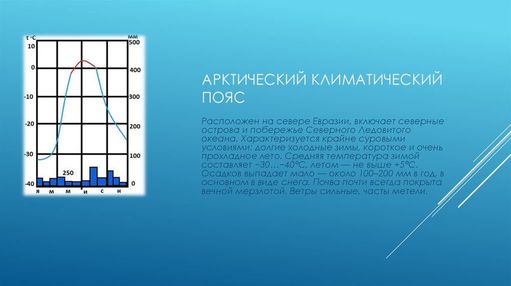 Арктический климатический пояс