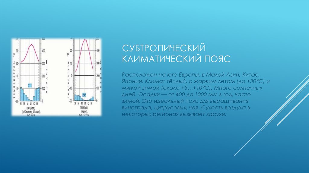 субтропический климатический пояс