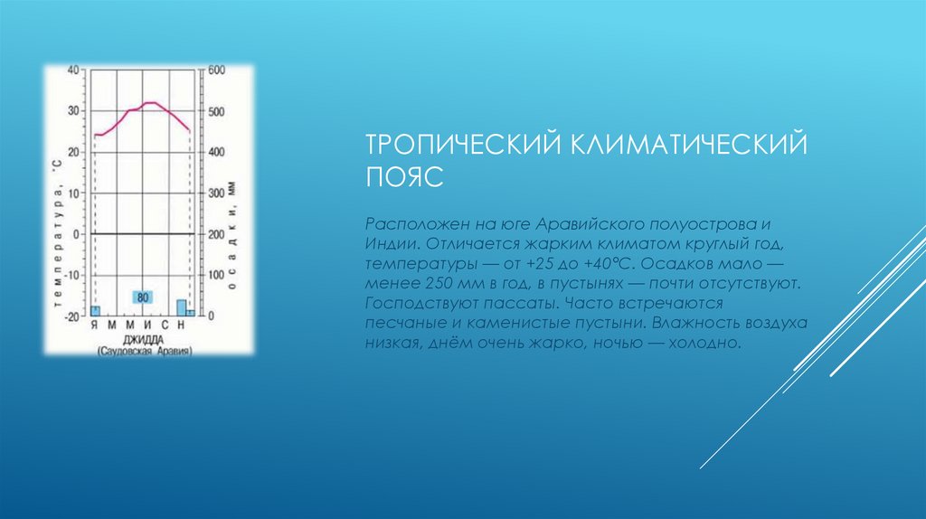 тропический климатический пояс