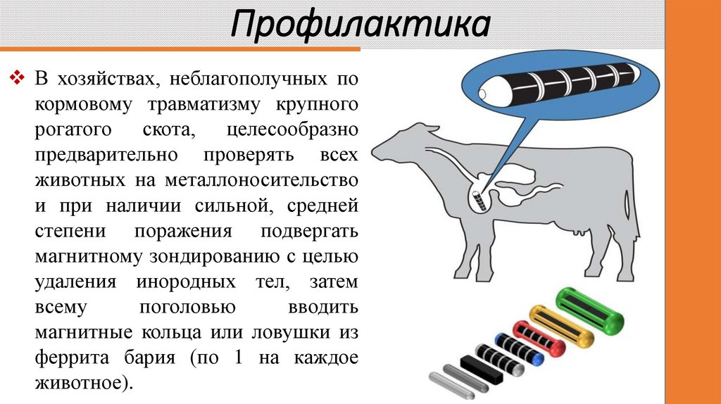 Профилактика